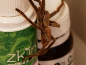 2016-08-01-2564 Hydrating Mist (c) Jason Grossman.jpg